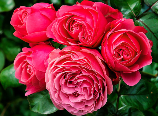 739671 (a): :2500x1827